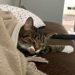 Meet your Posher, Kayla